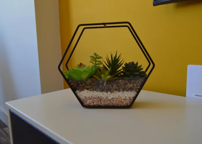 Apartment Diamond Tropical